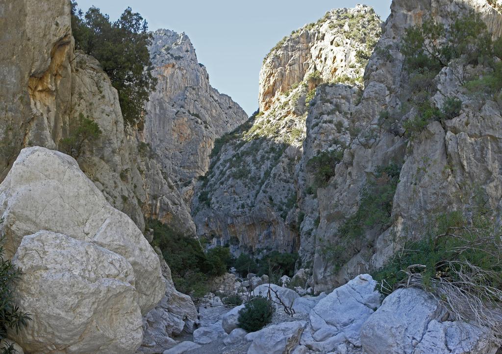 Appartamento Gli Ontani Кала-Ліберотто Номер фото